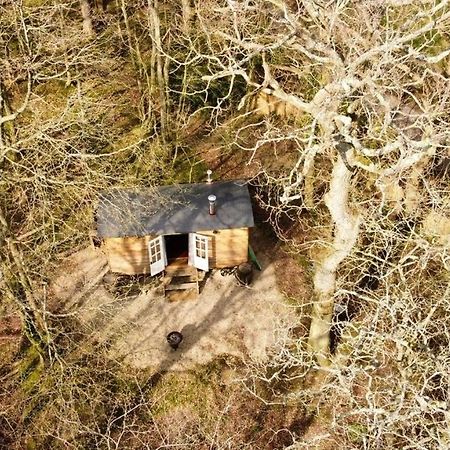 Bluebell Shepherds Hut Rolvenden Экстерьер фото